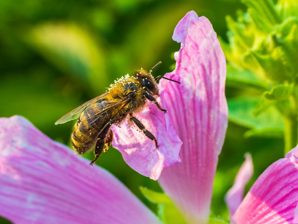 Photograph by Victor Pruhnitskiiy