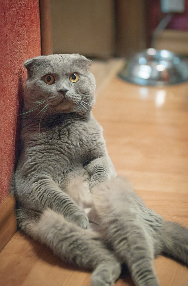 сам в шоке))