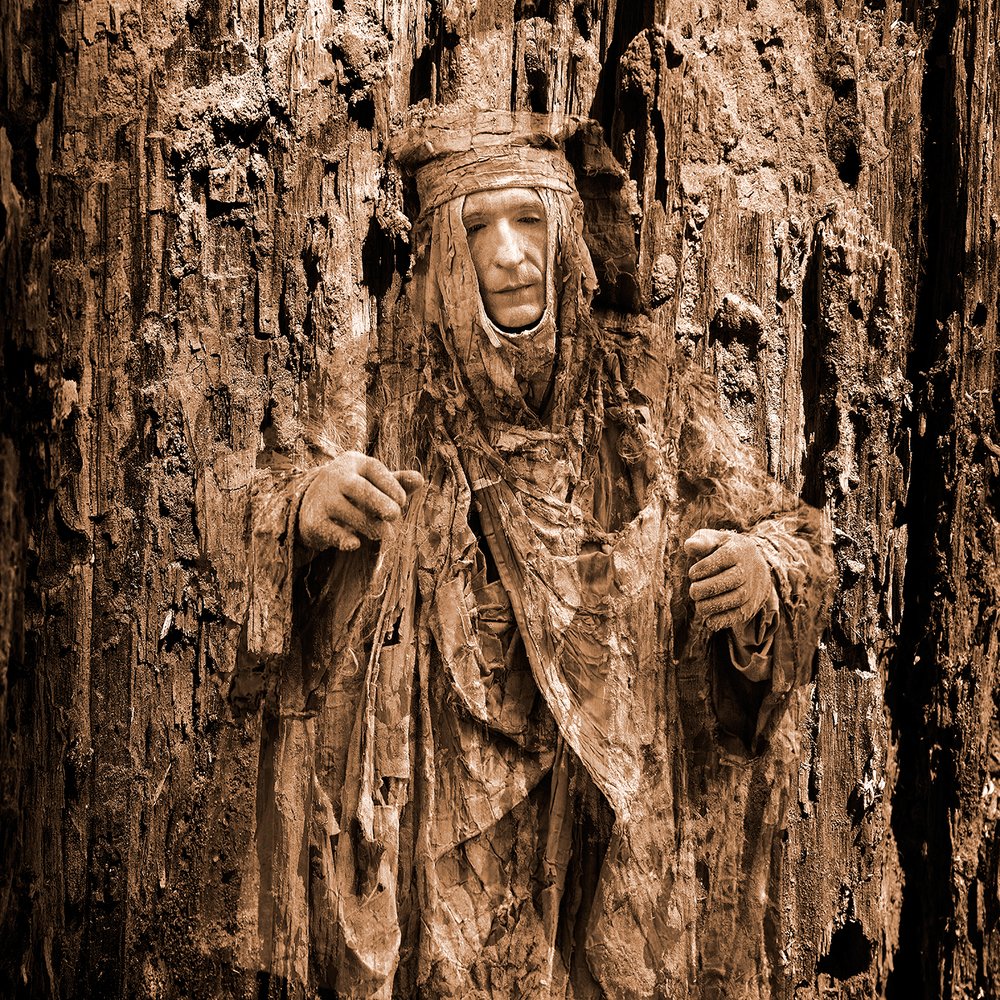 Легенды старого дерева