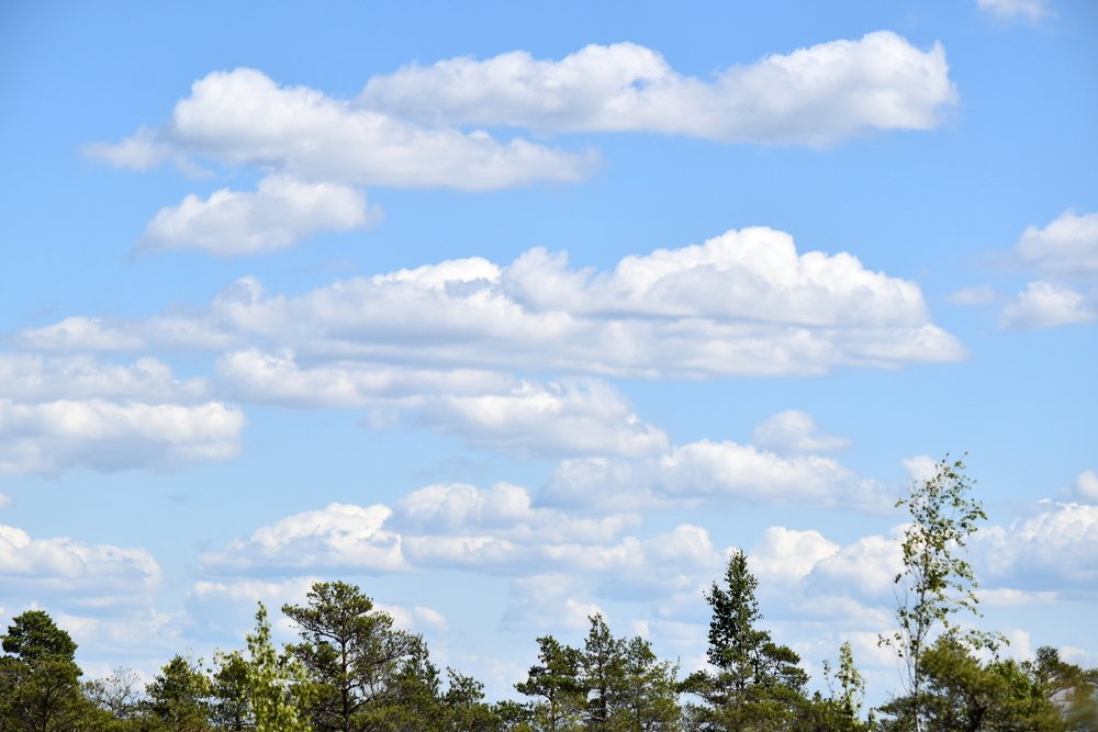 What sky is blue ... / Какое небо голубое...