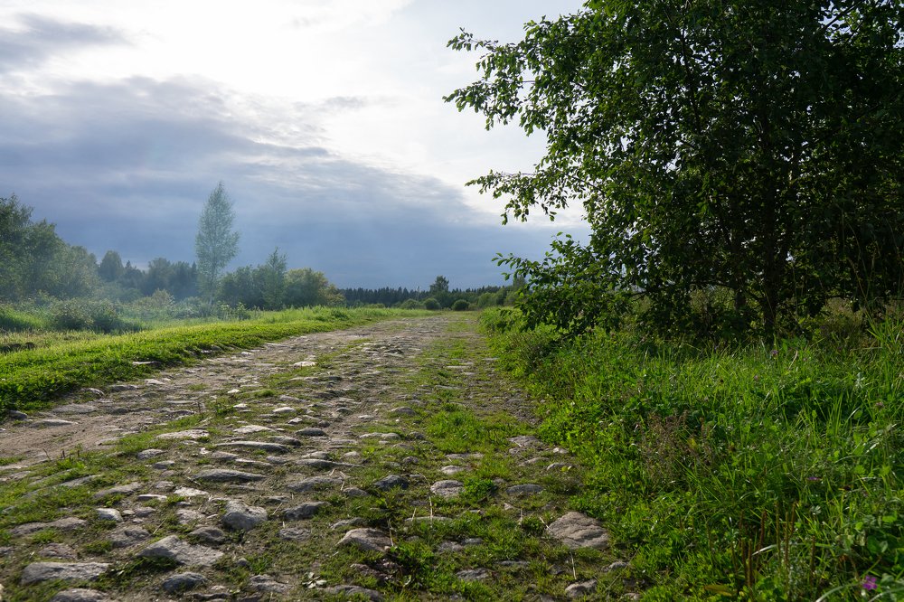 Старая дорога в Окуловку