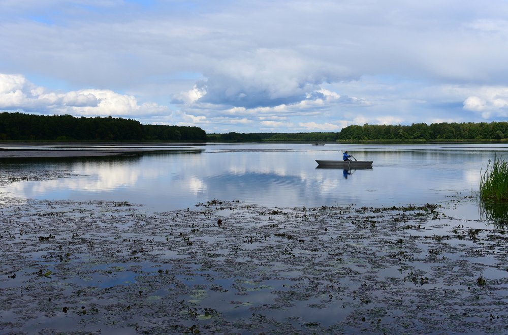 Такая тишина...