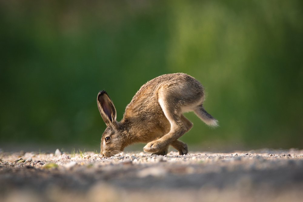 Photograph by Дмитрий Вилюнов