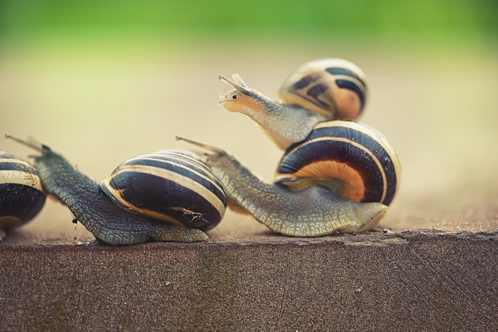 Photograph by Виктория Мейо