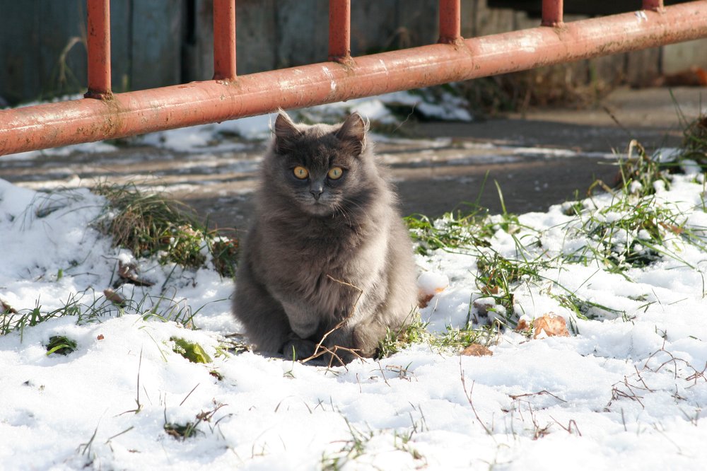 На охране и обороне