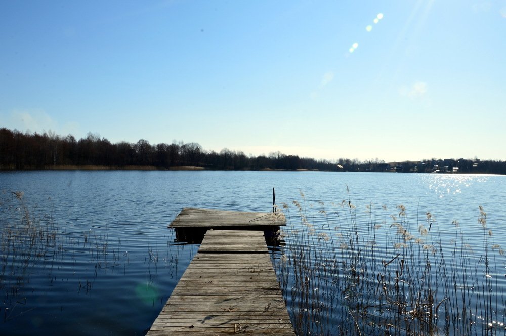 Мытилка на озере