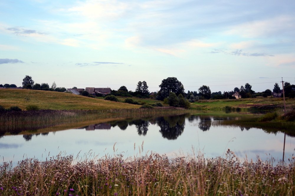 В Псковской области озера