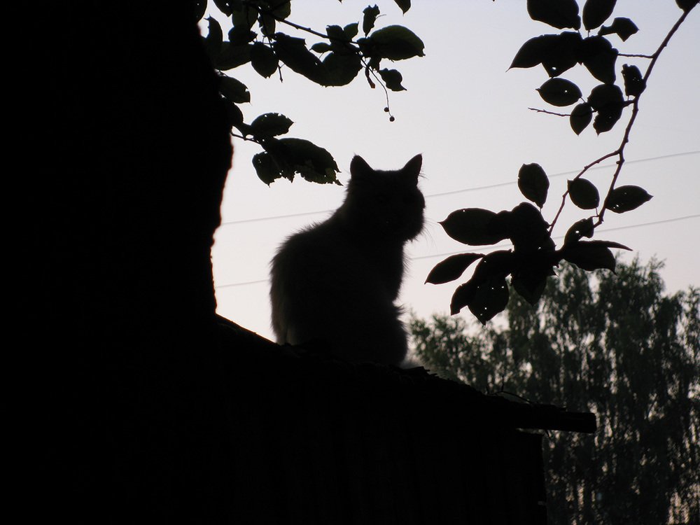 Photograph by Владимир