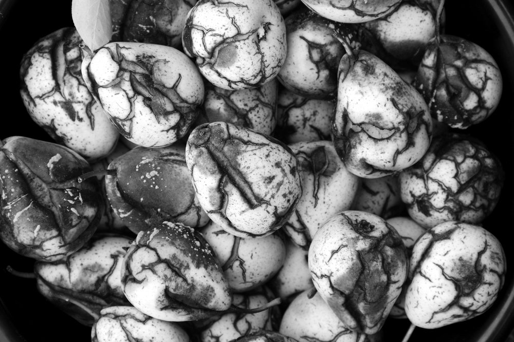 Морщины у груши.