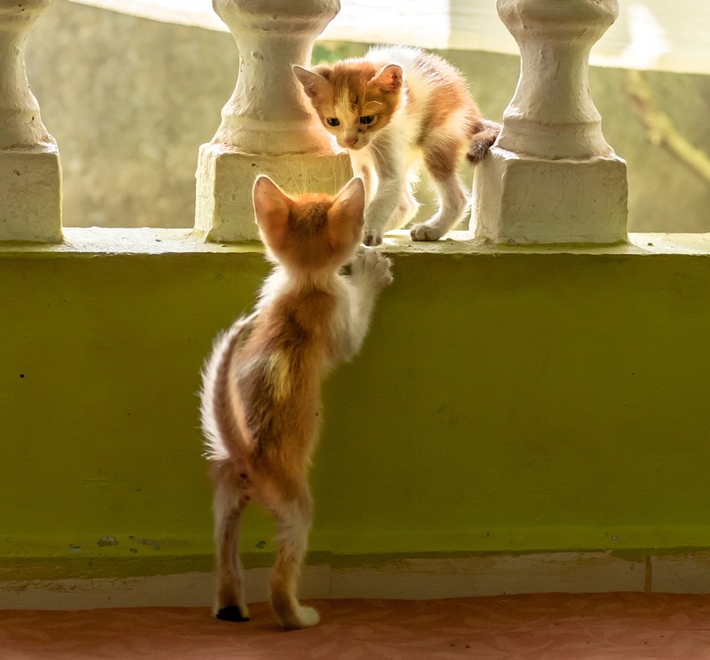 утренняя игра