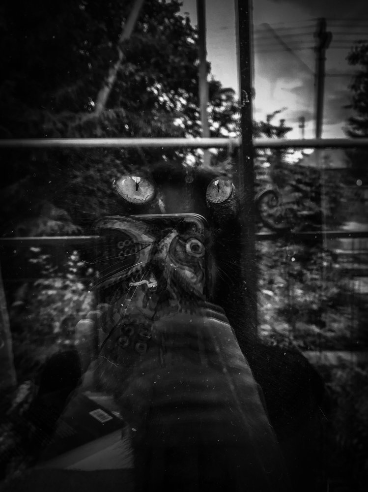 Photograph by Inna Kuznetsova