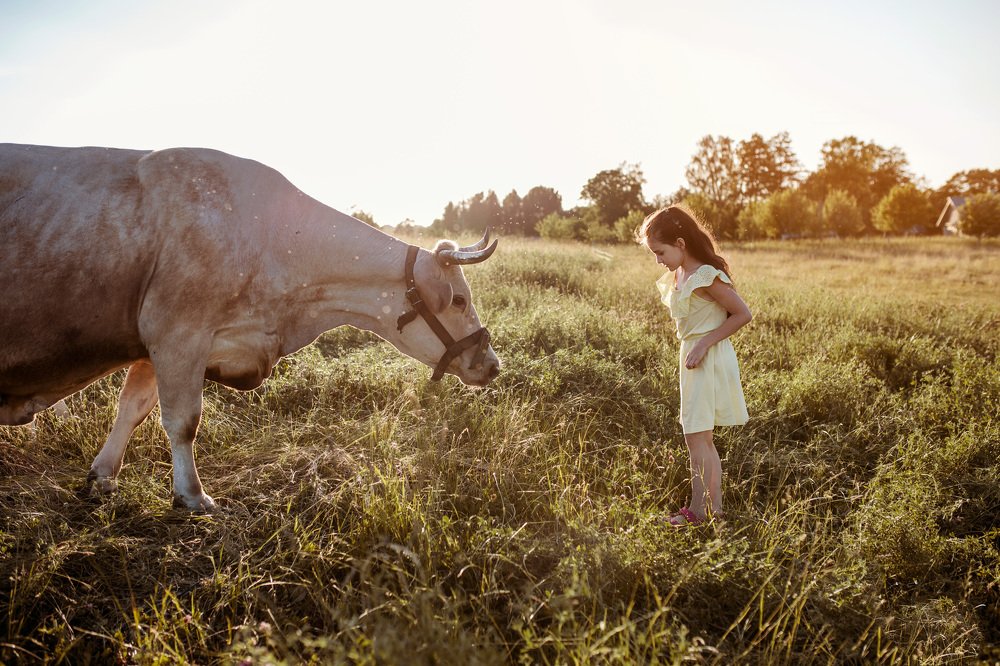 Photograph by Agne Povilaikaite