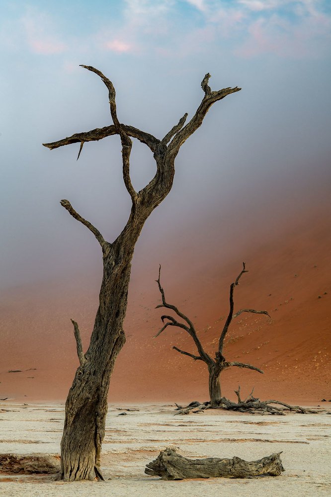 Туман в мертвом болоте.