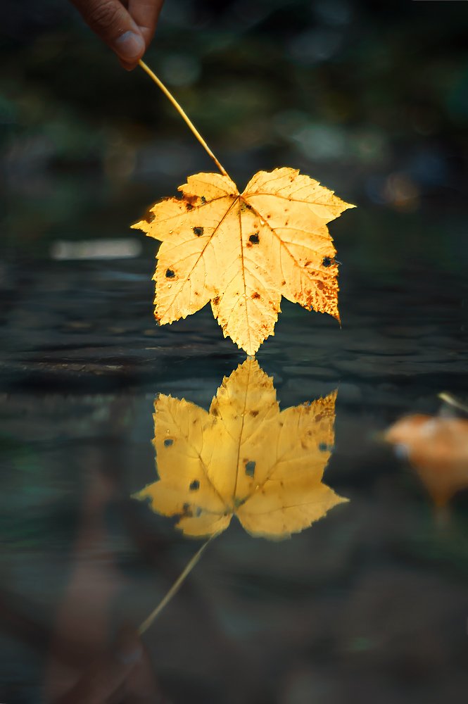 Фотография автора Marina Montale