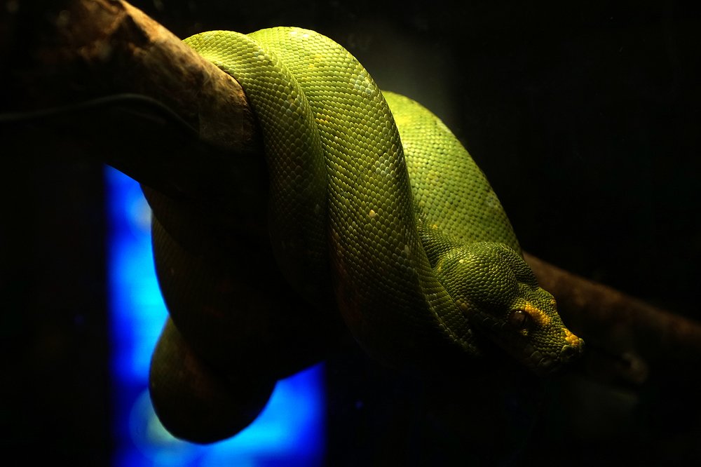 Photograph by Dzianis Mizhui