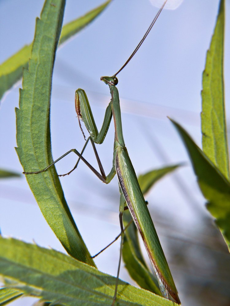На утренней службе.