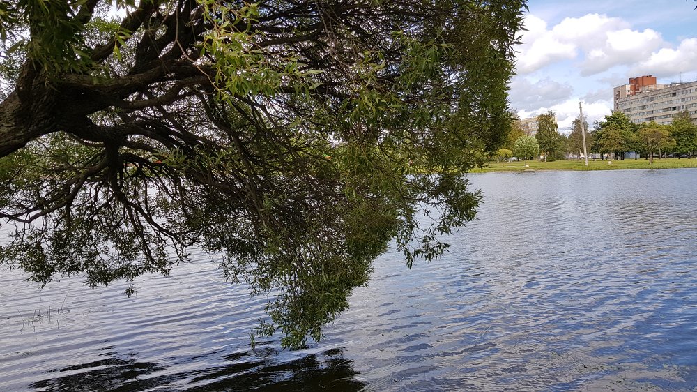 Городское озеро