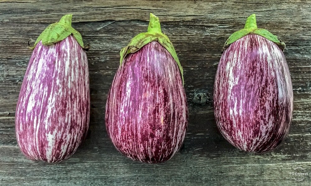 Photograph by Anastasia nenay