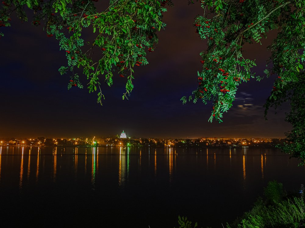 Ночной пруд