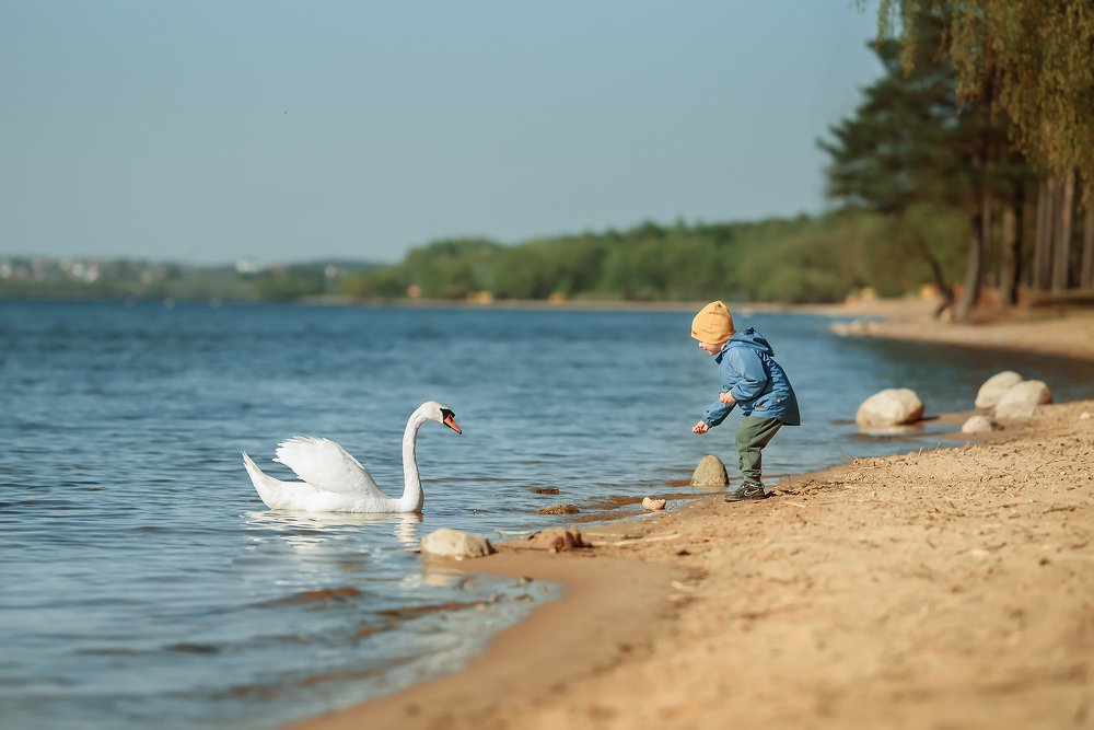 Photograph by Ольга Романькова