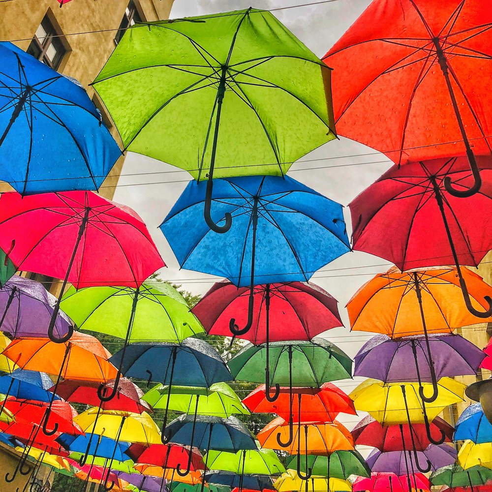 Photograph by Przemyslaw Wlodkowski