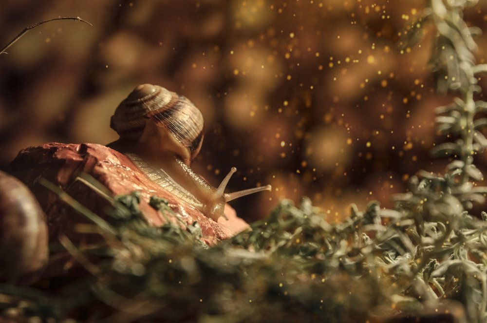 Photograph by Михаил Курихин