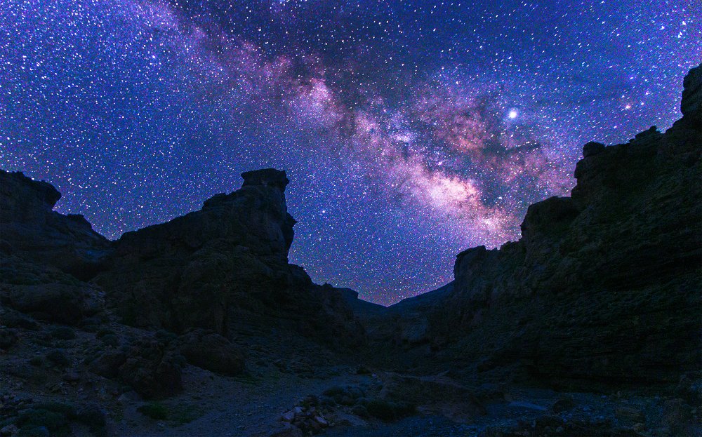 THE DREAM OF THE NIGHT