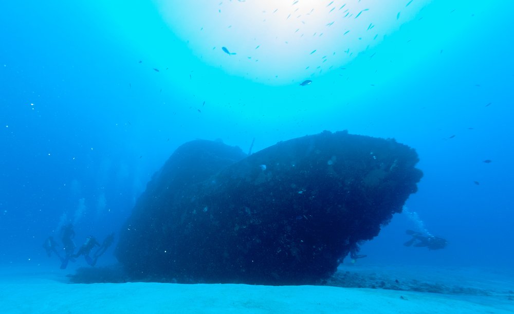 Let's meet Mama Viña