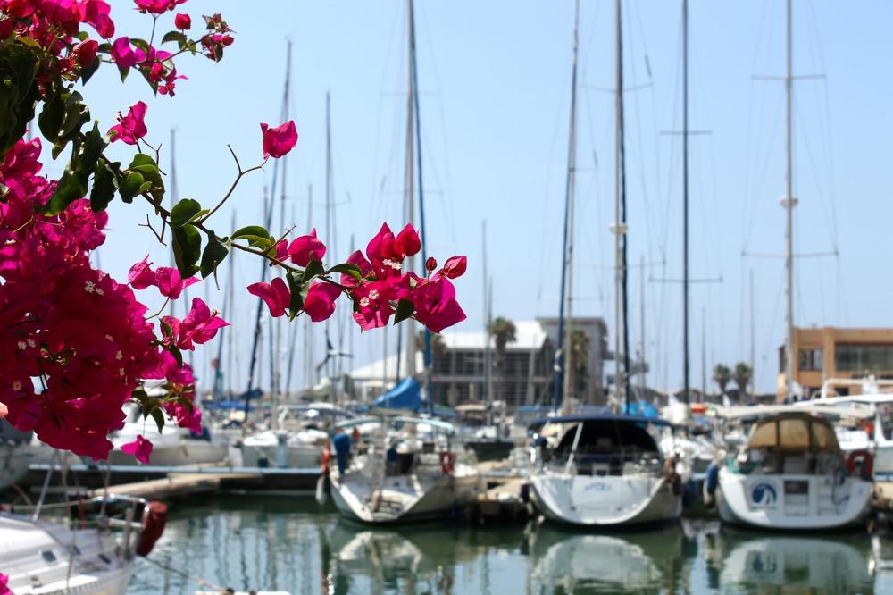 Photograph by Irina Radzinskaya