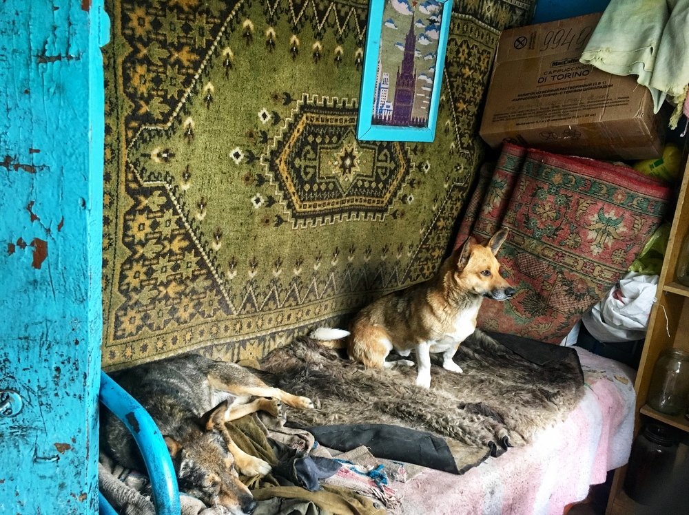 Photograph by Irina Konstantinova