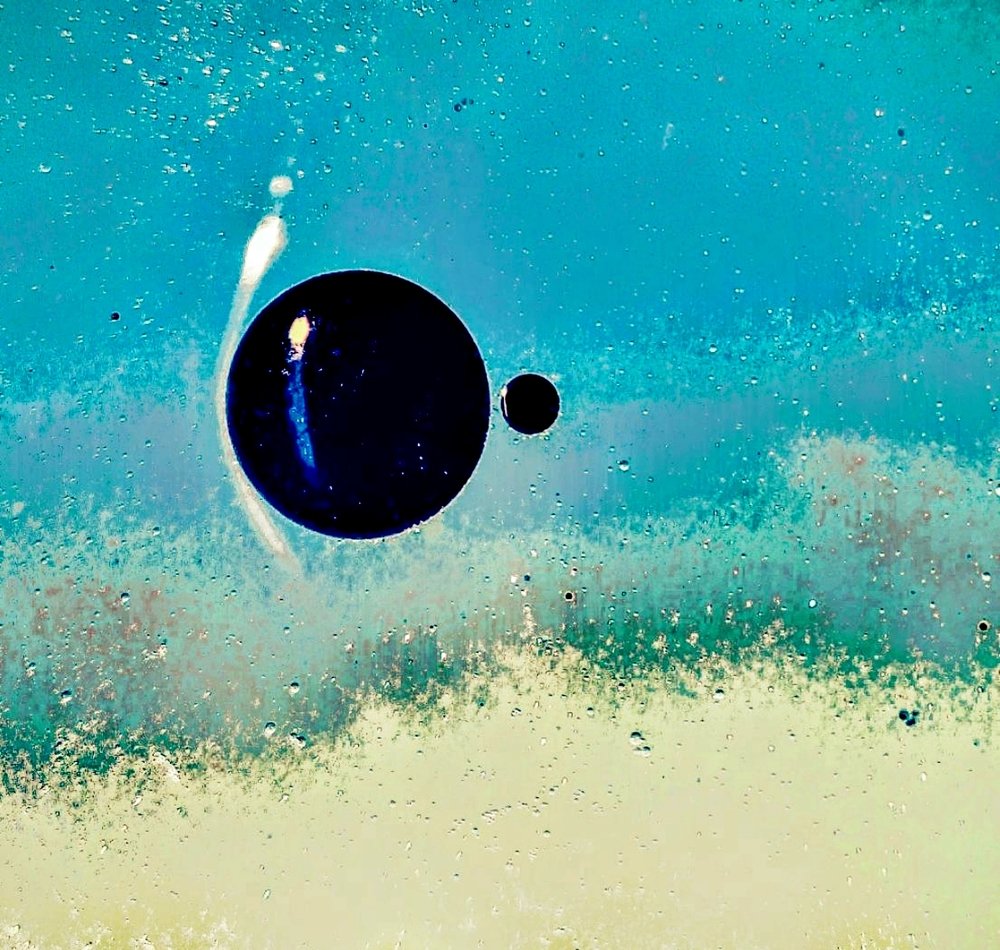 океан жизни