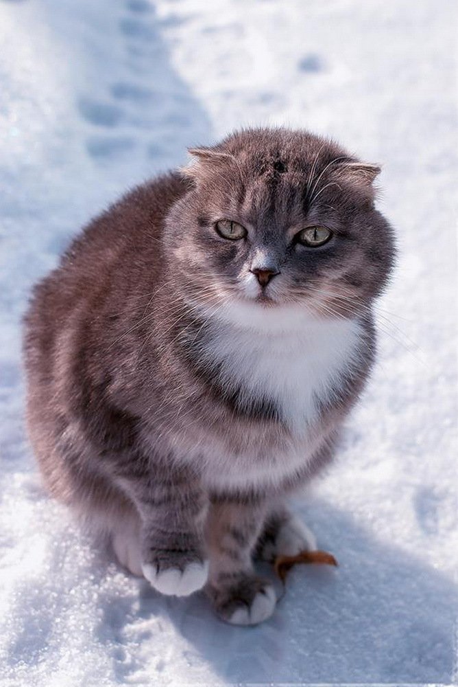 На прогулке