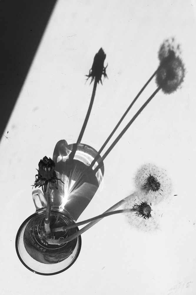 Photograph by Irina Konstantinova