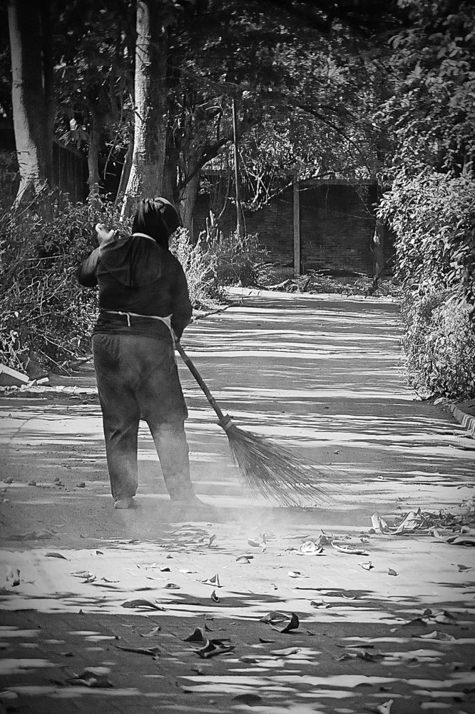 Woman work as Garden Sweeper