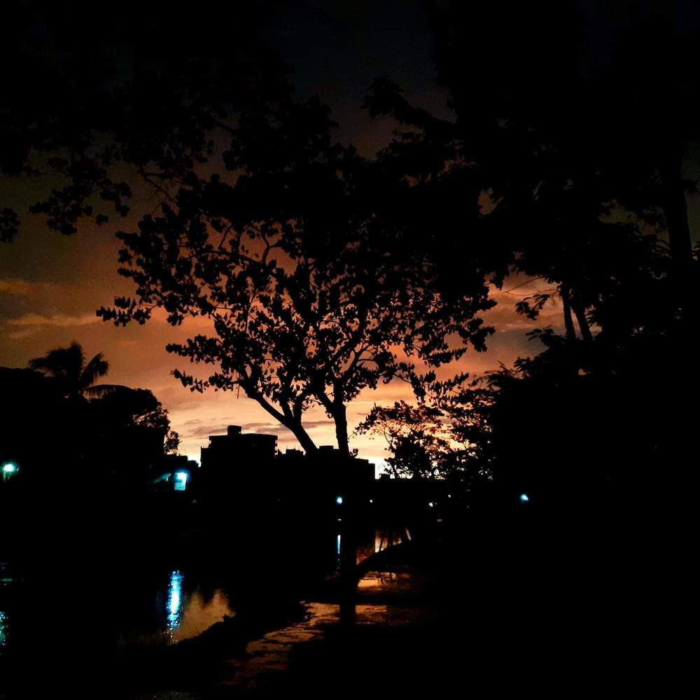 Sunset