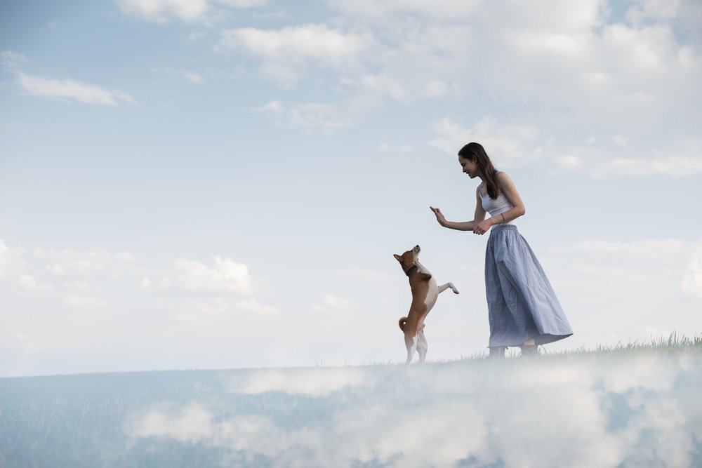 Photograph by Евгения Жос