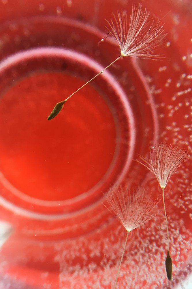 Photograph by Irina Konstantinova