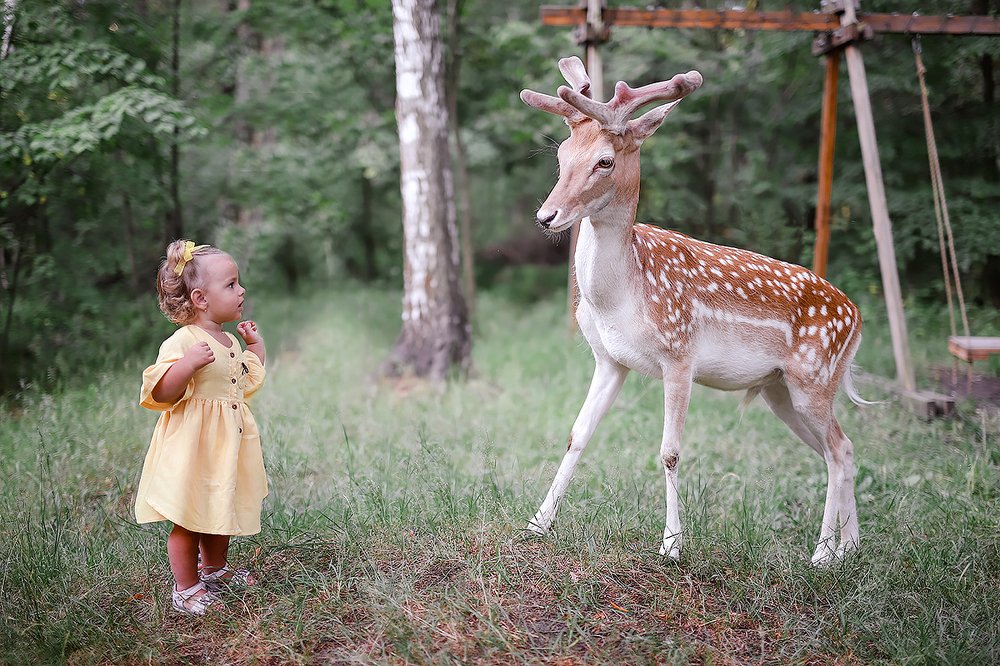 Сказка наяву