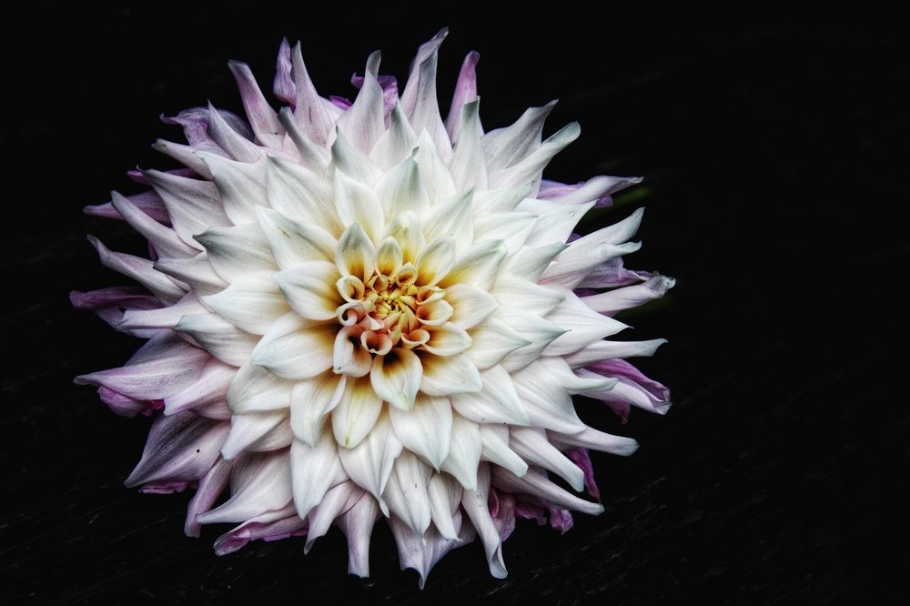 Photograph by Рыжик Алёна