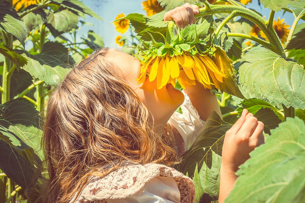Фотография автора Ольга Осипова