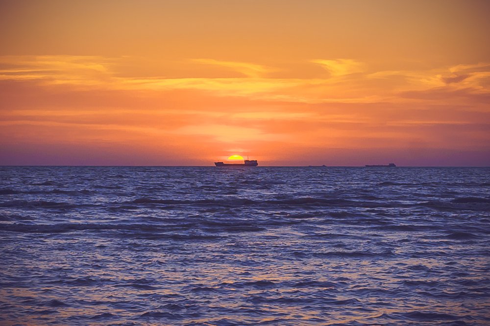 Фотография автора Ольга Осипова