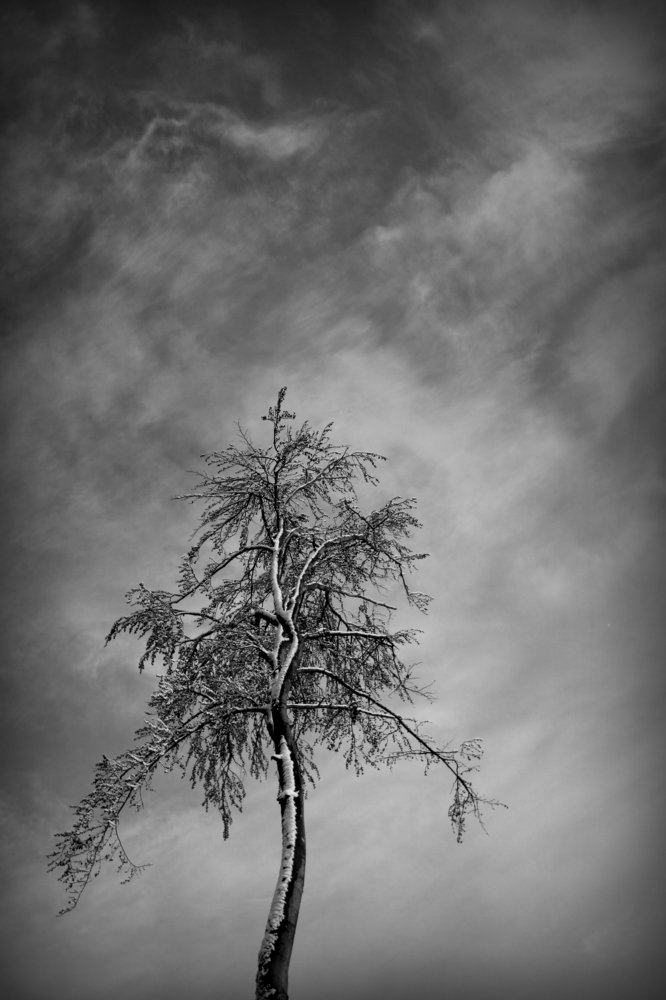 Reaching for the sky