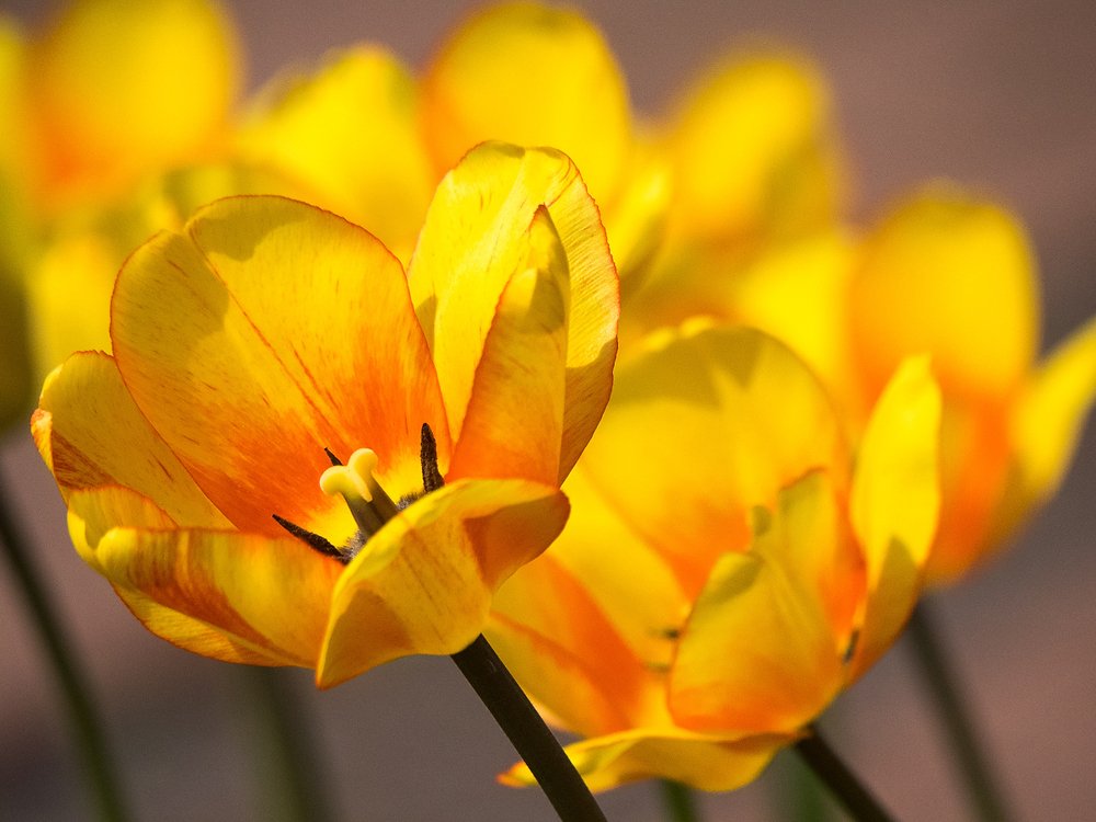 Photograph by 