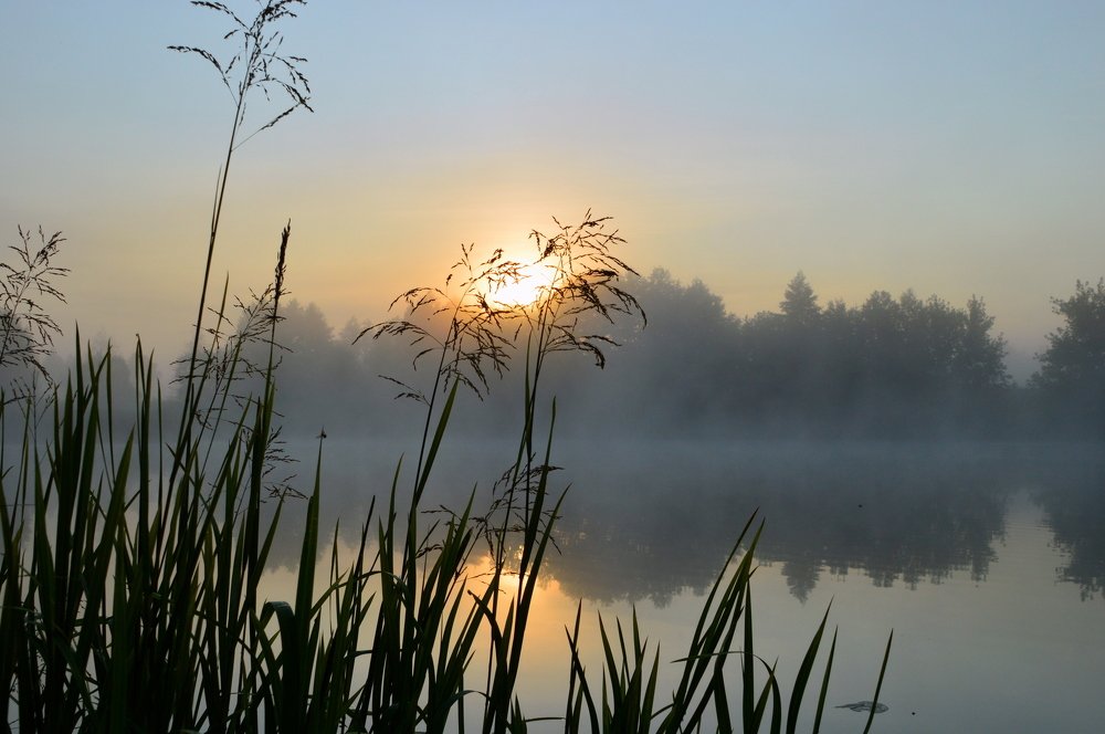 Предрассветье.