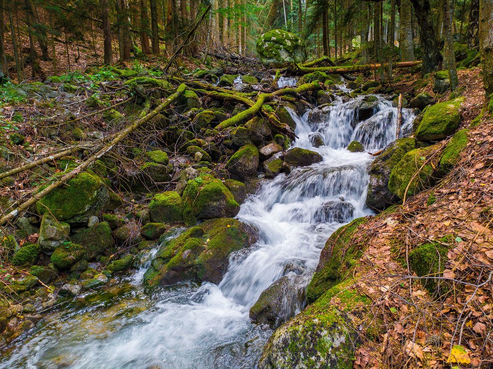 Ручей "Шумка". Карачаево-Черкесия