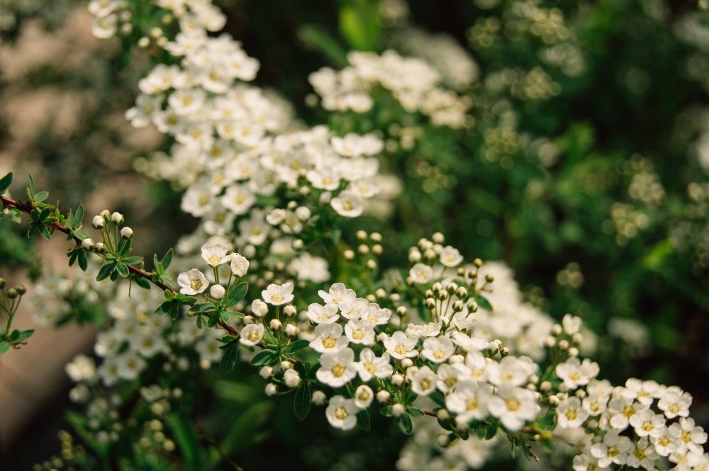 Photograph by Aлександра Зрелова