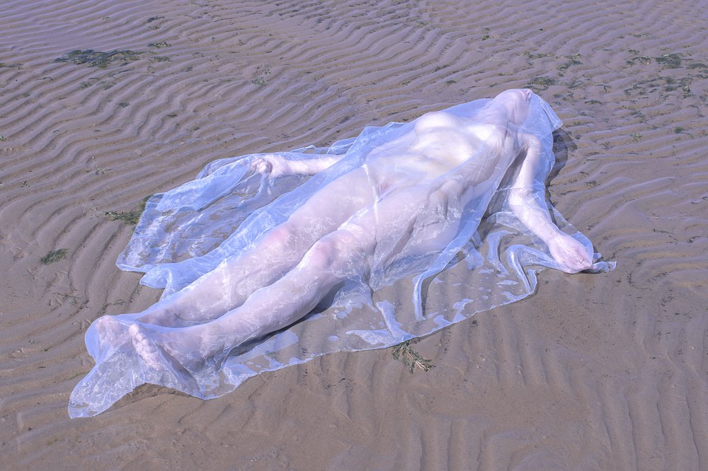Dream of a Jellyfish