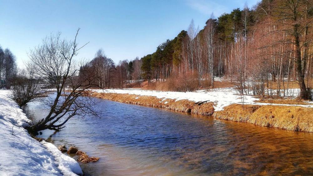 Апрельская прохлада