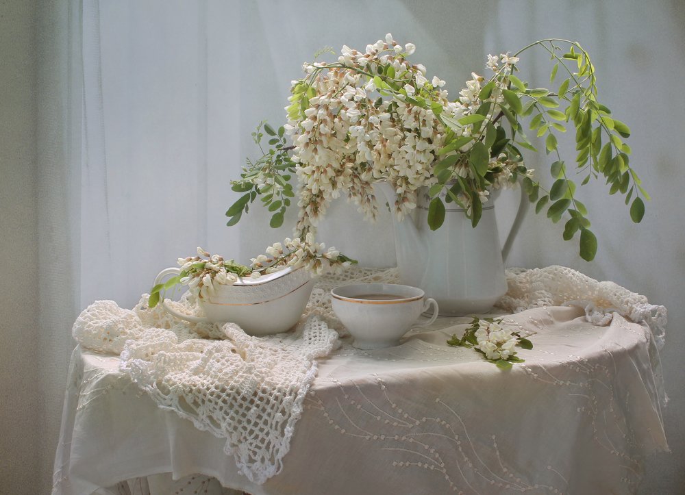 С белой акацией