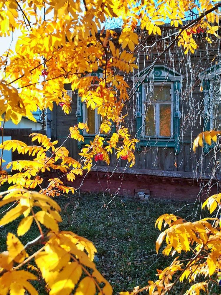 В лучах солнца